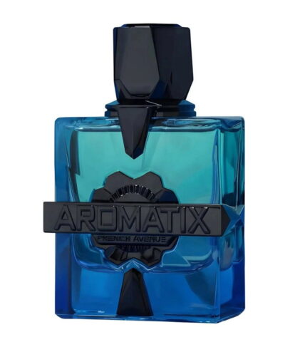 French Avenue Magnetiq Aromatix EDP 100 ml