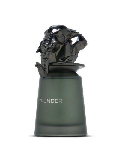 French Avenue Thunder EDP 100 ml