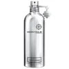 Montale Mango Manga EDP 100 ml (tester)