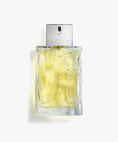 Sisley Eau d'Ikar Eau de Toilette 100 ml