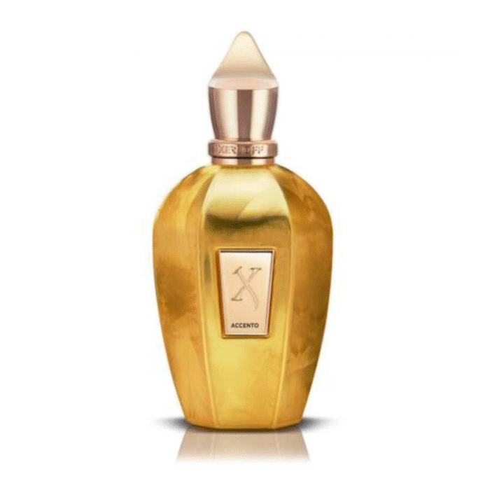 Xerjoff Accento Overdose EDP 100 ml Tester