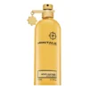 Montale Aoud Leather EDP 100 ml