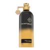Montale Spicy Aoud EDP 100 ml