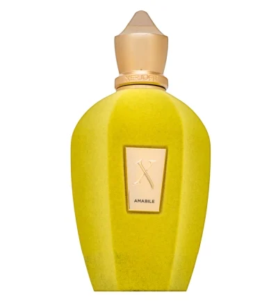 Xerjoff Amabile EDP 100 ml kvepalų buteliukas