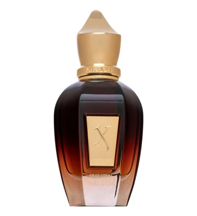 Xerjoff Oud Stars Malesia EDP 50 ml kvepalų buteliukas